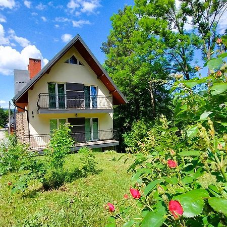 Apartamenty nad potokiem Krościenko Zewnętrze zdjęcie