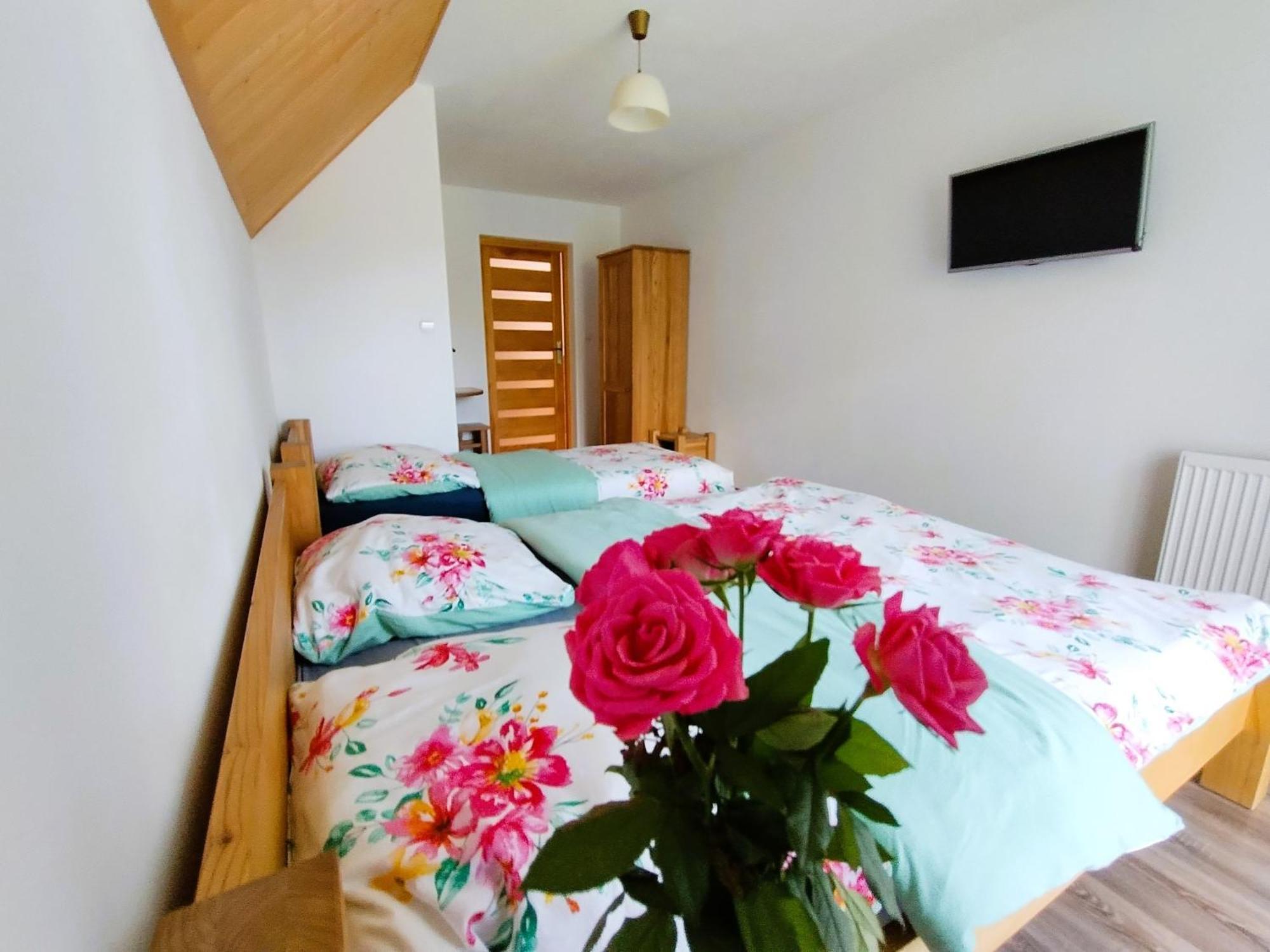 Apartamenty nad potokiem Krościenko Zewnętrze zdjęcie